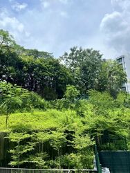 FORETT AT BUKIT TIMAH (D21), Apartment #523761221